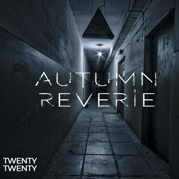 Cover art for Twenty / Twenty